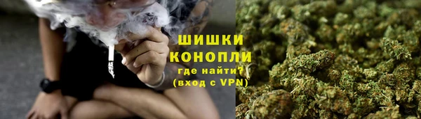 мдпв Верхний Тагил