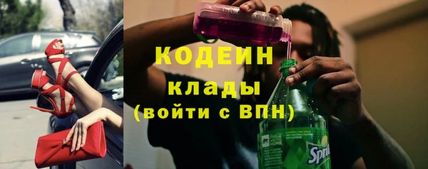 мдпв Верхний Тагил
