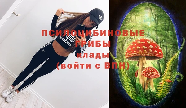 МДПВ Верхнеуральск