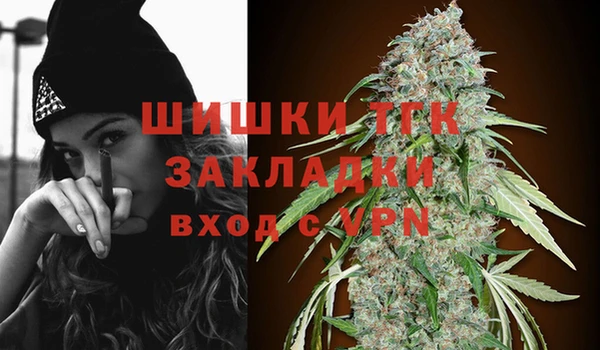 мдпв Верхний Тагил