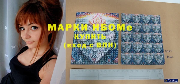 мдпв Верхний Тагил